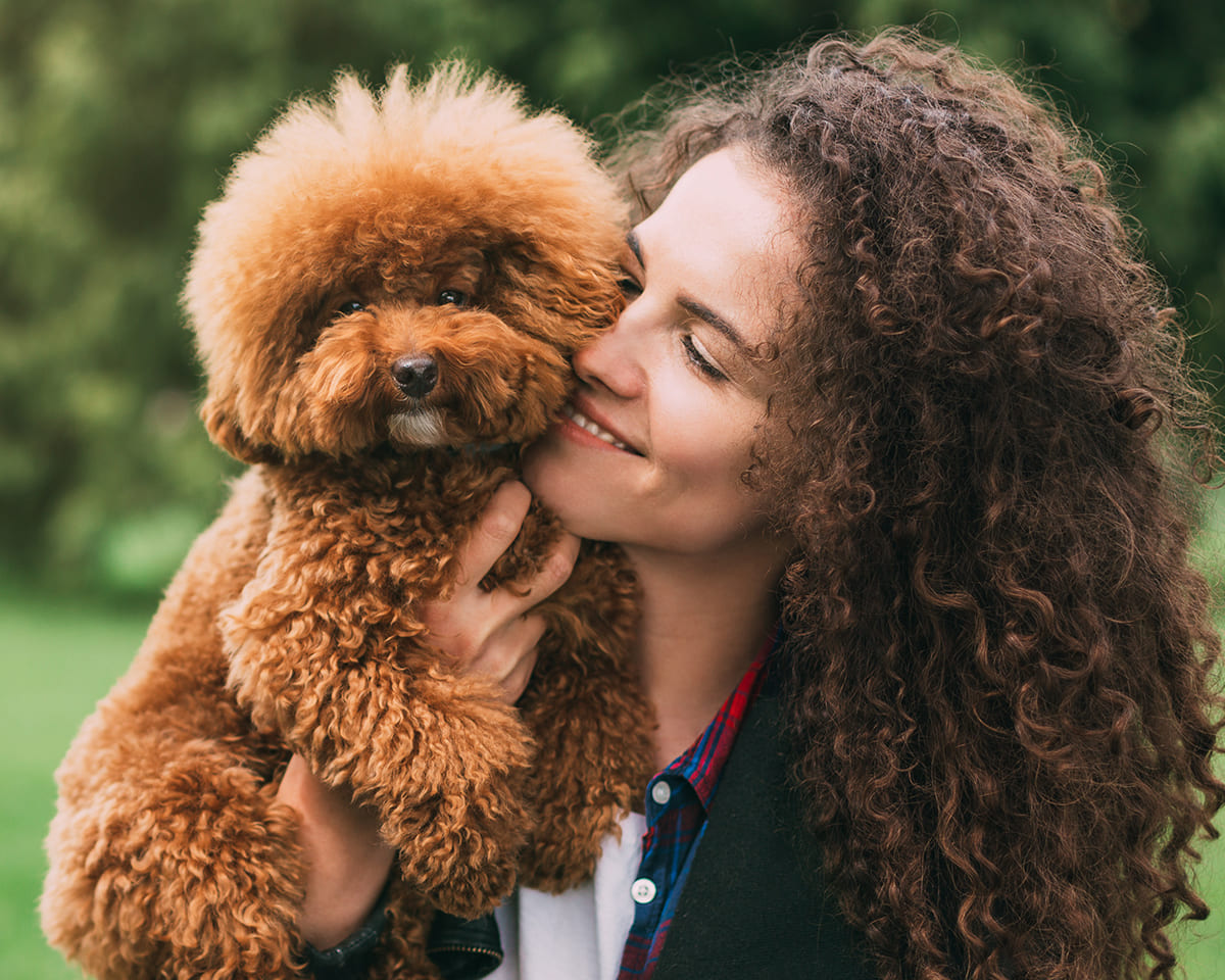 Brown Fluffy Dog held by a women